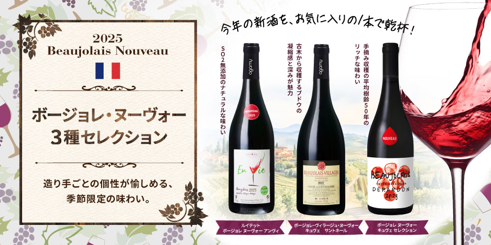 【MOF F ブルゴン熟成】ブリー ド モー AOP (最短出荷)