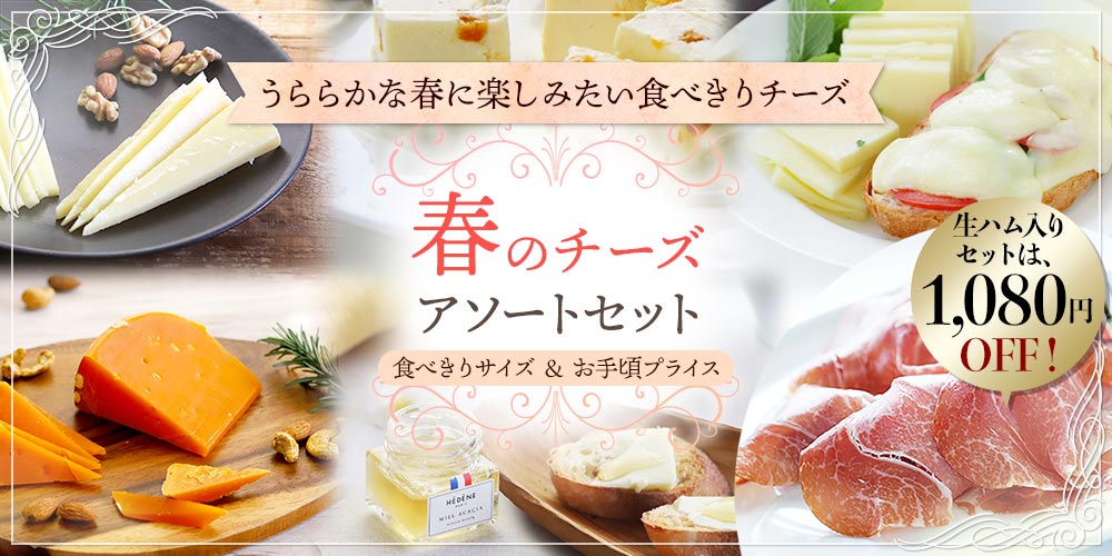 春のチーズアソートセット 2026