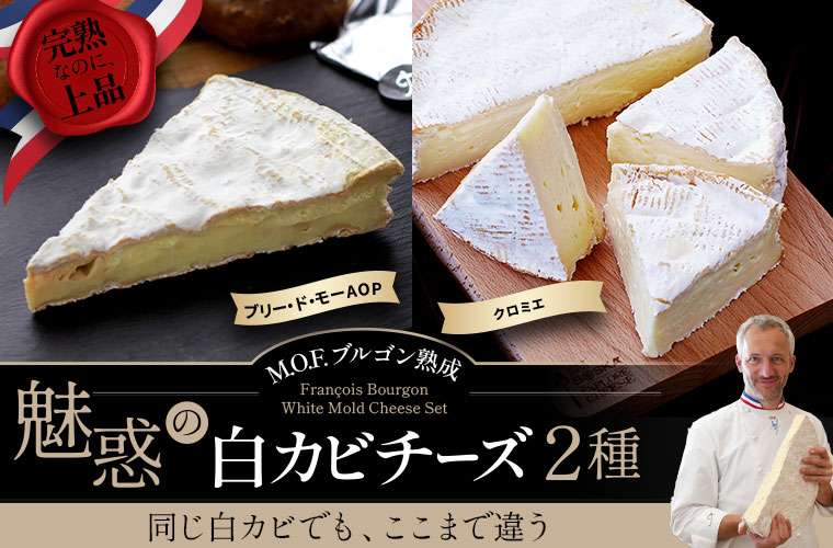 【MOFブルゴン熟成】魅惑の白カビチーズ2種