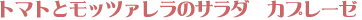 �g�}�g�ƃ��b�c�@�����̃T���_�@�J�v���[�[