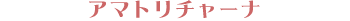�A�}�g���`���[�i