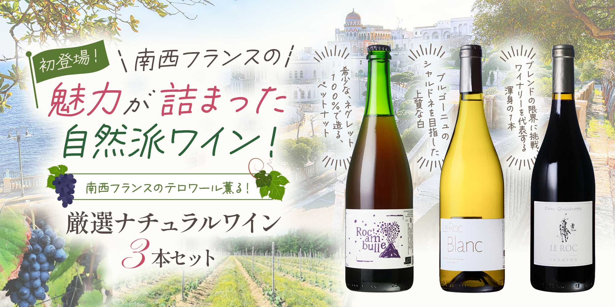 南西フランスのテロワール薫る 厳選ナチュラルワイン3本セット